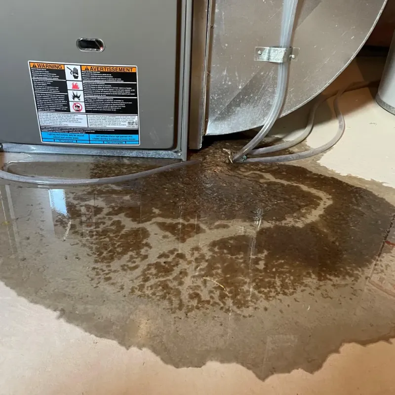 Appliance Leak Cleanup in Lincolnton, NC