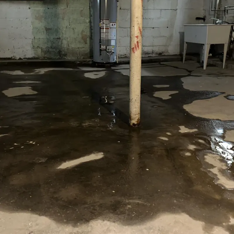 Emergency Water Extraction And Removal in Lincolnton, NC